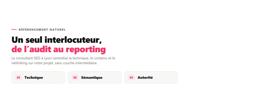 Consultant SEO Lyon : missions, tarifs et différences avec une agence